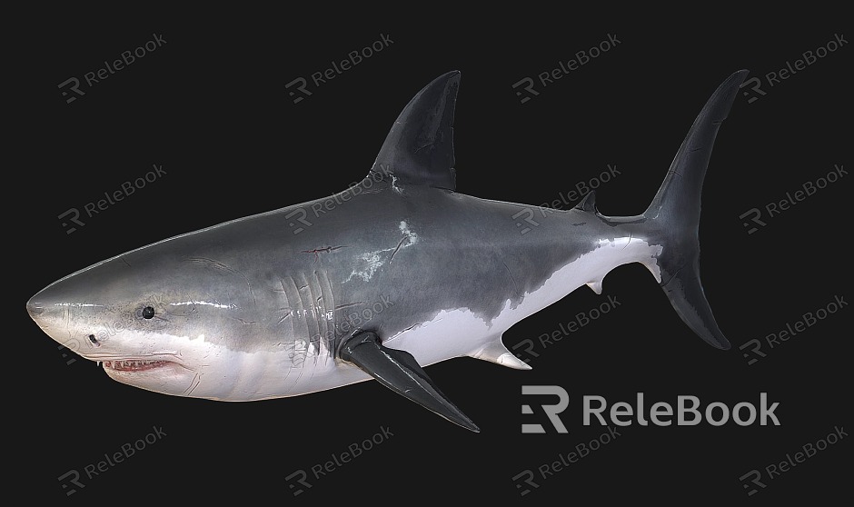 shark marine animal model