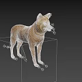 Detailed Realistic Brown Dog 3D Model With Upright Ears Standing Pose