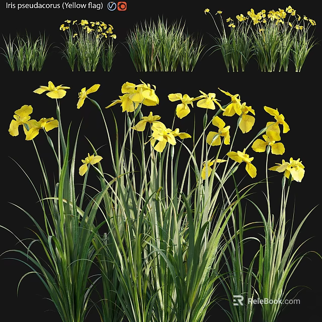 Vibrant Yellow Flowers Blooming With Lush Green Grass In Natural Scene 3d model 