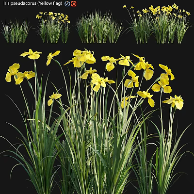 Vibrant Yellow Flowers Blooming With Lush Green Grass In Natural Scene 3d model
