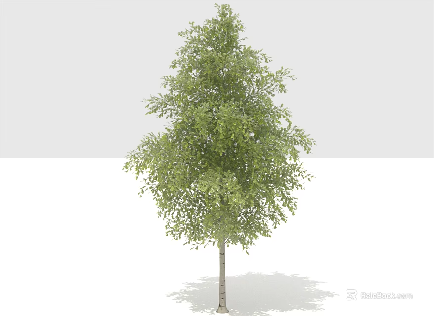 Lush Green Tree With Fresh Leaves And Sturdy Trunk For Garden Landscaping 3d model 