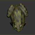 Realistic Green And Purple Frog Sculpture With Lifelike Detailed Design