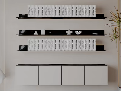 Contemporary Bookshelf With Open Black Shelves Neat Books White Cabinets And Green Plant 3d model