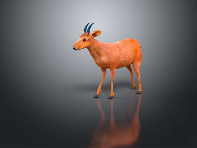 Orange Antelope With Blue Horns Standing On Gray Background With Reflection 3d model