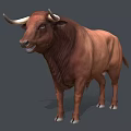 Detailed Brown Bull With Long Horns In Standing Pose On Gray Background