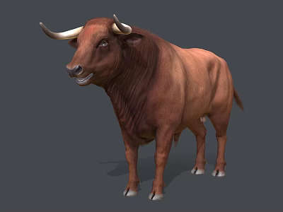 Detailed Brown Bull With Long Horns In Standing Pose On Gray Background 3d model