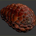 Red Scaly Plant Fruit with Cone Like Shape on Gray Gradient Background and Reflective Surface