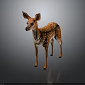 Cute Fawn With White Spots And Brown Body Standing On Dark Background With Reflection