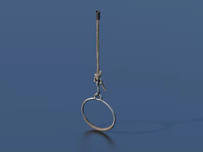Daily Life Essential Silver Metal Hook With Circular Ring On Blue Background For Home Use 3d model