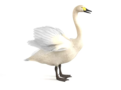 White Swan with Spread Wings Yellow Eyes Black Beak and Legs 3d model