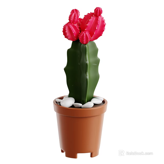 Green Stem Cactus With Red Flowers In Brown Pot And White Pebbles 3d model 