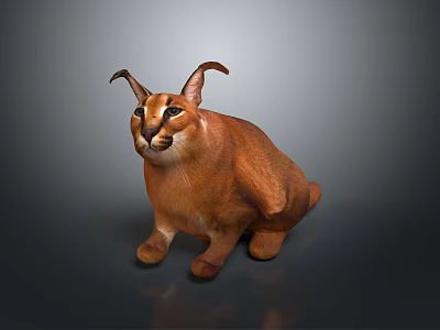 Caracal Wild Animal With Reddish Brown Fur And Tufted Ears In Sitting Posture 3d model