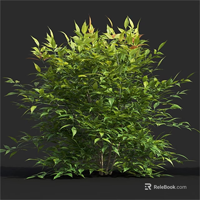 Lush Green Shrub With Healthy Leaves And Natural Branch Structure 3d model 