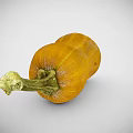 Fresh Yellow Squash with Green Stem and Natural Surface Texture on Gray Background