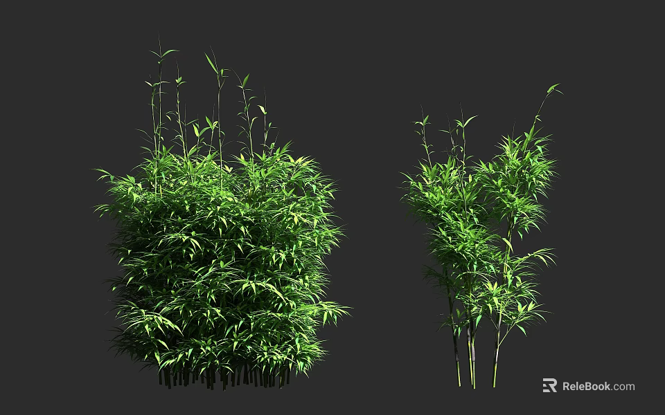 Lush Green Bamboo Plants With Different Growth Forms And Fresh Leaves 3d model 