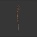 Dried Plant with Slender Stem and Curled Leaves on White Background
