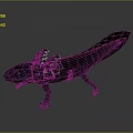 Axolotl Aquatic Creature With External Gills Sleek Body And Flat Tail