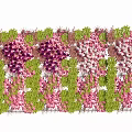 Beautiful Flower Rack Adorned With Purple Pink White Flowers And Green Leaves