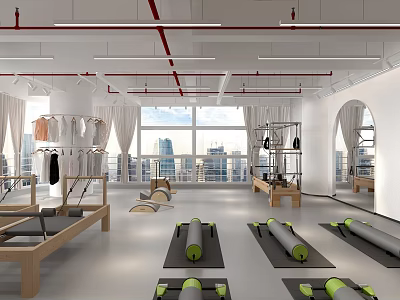 Modern Fitness Studio With Yoga Mats Exercise Balls Wooden Equipment Large Windows And City View 3d model