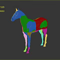 Detailed Horse Muscle Anatomy Model With Red Muscle Structure And White Skeleton