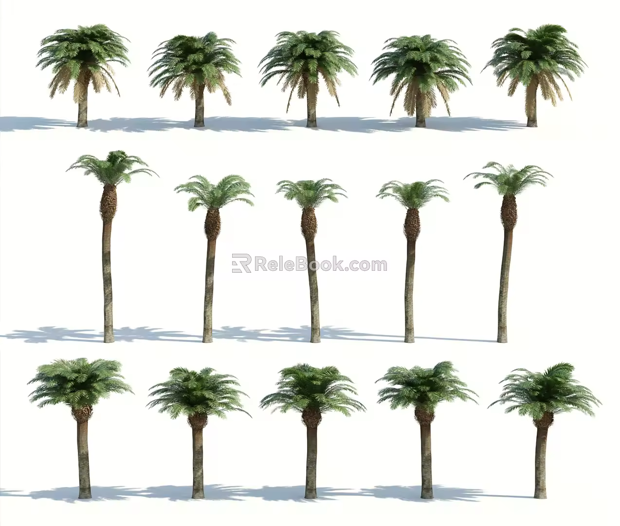 Modern Palm Tree 3d model