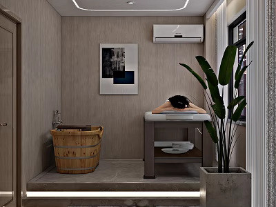 Modern SPA Sauna Interior With Wooden Bucket Massage Table Green Plant And Painting 3d model