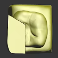 Tooth Anatomy Model Showing Internal Structure With Enamel Dentin And Pulp