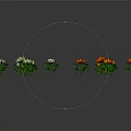 Colorful Flowers Arranged in Curve Shape With Green Leaves and Gray Background