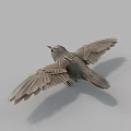 Graceful Flying Bird With Spread Wings And Light Gray Plumage Against Neutral Background