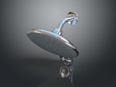 Polished Metal Shower Head With Round Spray Face And Modern Design For Bathroom Use 3d model