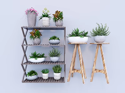 Multi Tiered Wooden Shelving Unit With Various Potted Plants And Small Stands 3d model