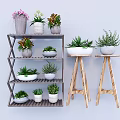 Multi Tiered Wooden Shelving Unit With Various Potted Plants And Small Stands