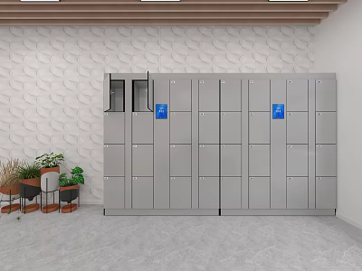 Gray Metal Lockers With Blue Labels A B Green Plants Textured White Wall Wooden Ceiling 3d model