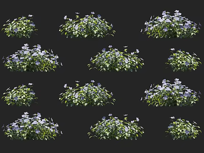 Modern Flowers 3d model