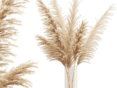Elegant Dried Pampas Grass Bouquet In Clear Glass Vase For Home Interior Decor 3d model