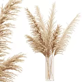 Elegant Dried Pampas Grass Bouquet In Clear Glass Vase For Home Interior Decor