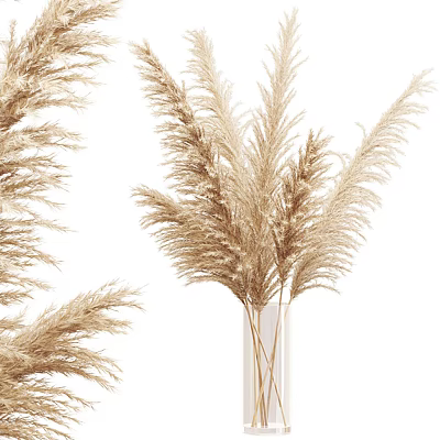 Elegant Dried Pampas Grass Bouquet In Clear Glass Vase For Home Interior Decor 3d model
