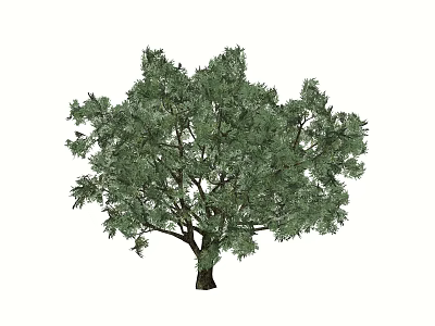 modern arbor 3d model