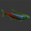 Vibrant Red Blue and Golden Aquatic Fish With Shiny Scales and Sleek Body