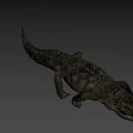 Realistic Crocodile 3D Model With Detailed Skin Texture And Natural Posture