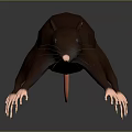 3D Model Brown Rat With Pink Ears White Paws And Black Eyes On Black Background