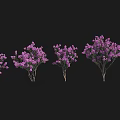 Elegant Garden Landscape Featuring Multiple Arranged Decorative Purple Flowering Trees
