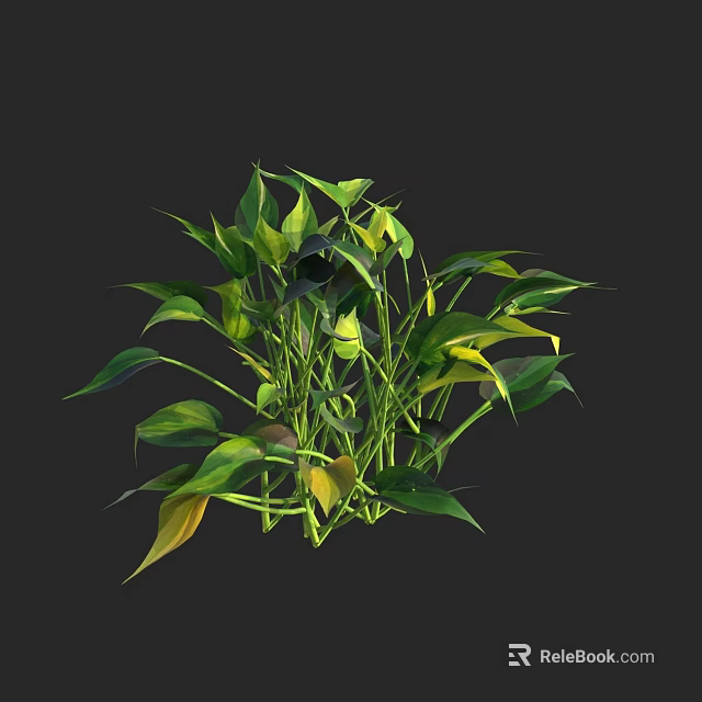 Lush Green Plants With Green And Yellow Leaves On Dark Background 3d model 