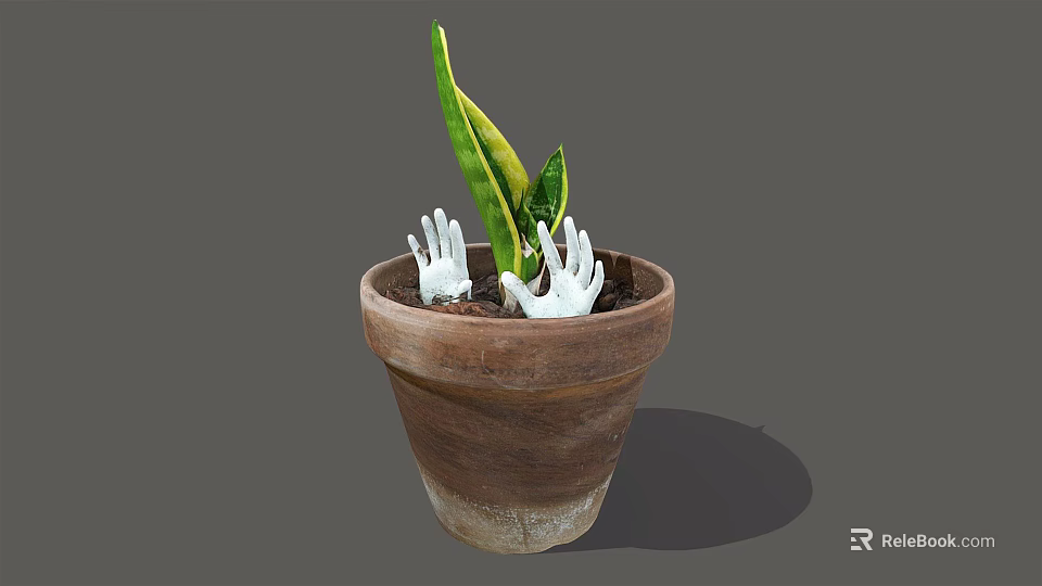 Green Indoor Plant In Terracotta Pot With White Hand Shaped Decorations In Soil 3d model 