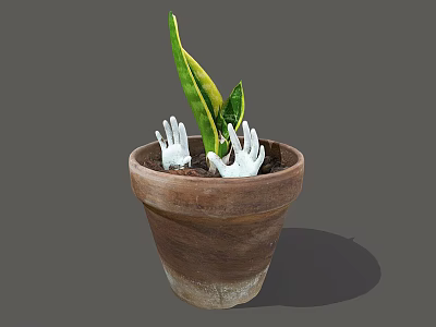 Green Indoor Plant In Terracotta Pot With White Hand Shaped Decorations In Soil 3d model