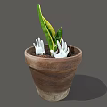 Green Indoor Plant In Terracotta Pot With White Hand Shaped Decorations In Soil