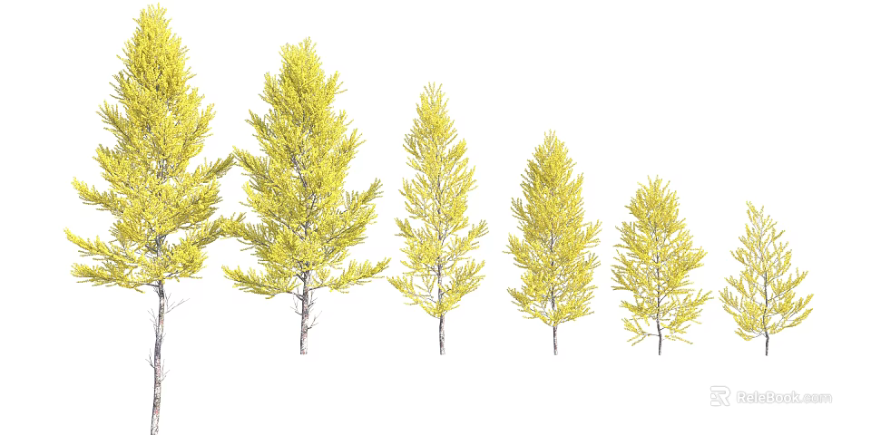 Yellow Leaf Arbor Trees In Various Sizes With Lush Foliage On White Background 3d model