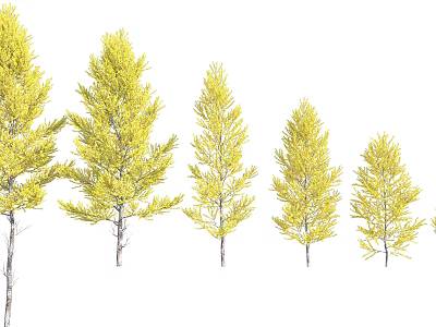Yellow Leaf Arbor Trees In Various Sizes With Lush Foliage On White Background 3d model