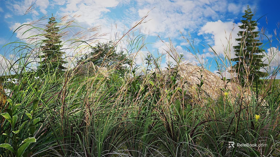 Tall Green And Brown Grasses In Natural Outdoor Scene With Blue Sky Clouds And Trees 3d model 