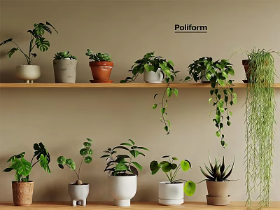 Indoor Potted Plants Arrangement With Diverse Ceramic Pots And Hanging Greenery On Shelves 3d model